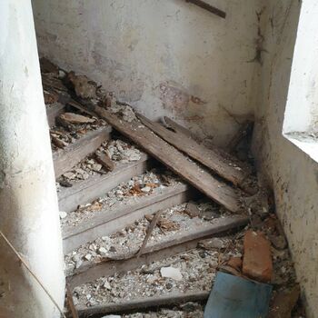 support step device old