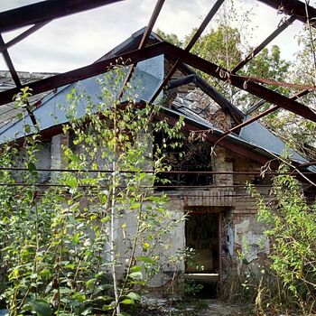 skleníkové budova struktura