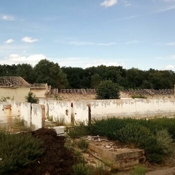 zeď krajina zeď krajina