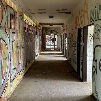 ɴᴇᴍᴏᴄɴɪᴄᴇ ɴᴇᴍᴏᴄɴɪᴄᴇ