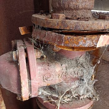 Český černobyl 2022