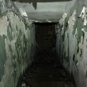 grave cell grave cell