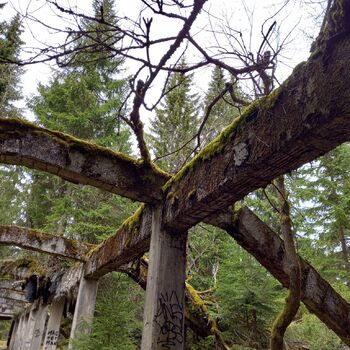 Krušné hory - Rolava