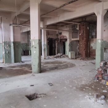 Typia Printing House 📜⏳🏚️