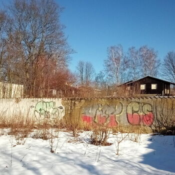 sníh stodola zemědělské budovy zima budova studené Les krajina stromy struktura počasí