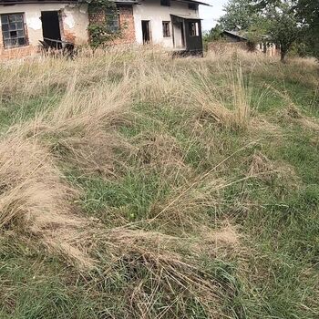 Voj.bunkr a hospodářské staveni
