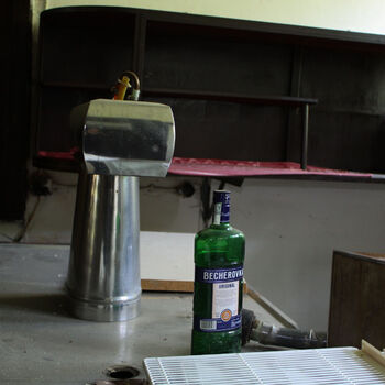 Schimmel für das Mittagessen