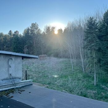 Pheasantries Pheasantries