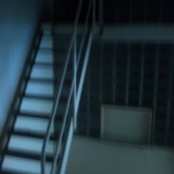 kytara akustická kytara Window stín hudba