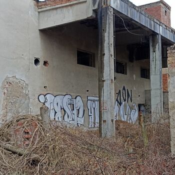 Lederfabrik und State Farm 2022