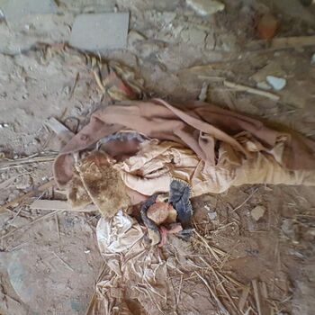 Urbex - 2022 Šumava - Vražedná p......