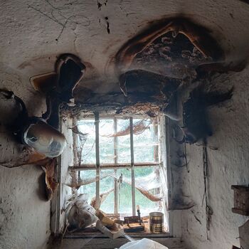 Plodnice požírající okénko ve mlýnici.