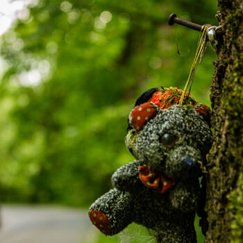 Landwirtschaftliche Fläche