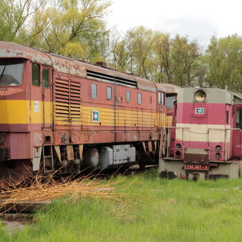 Cargo-Friedhof, nicht nur ein Bardot Cargo-Friedhof, nicht nur ein Bardot