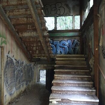 Dynamite and a bit of reminiscing