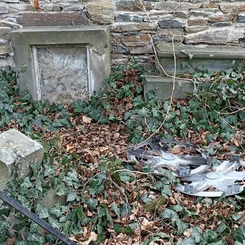 Friedhof 2022 Friedhof 2022