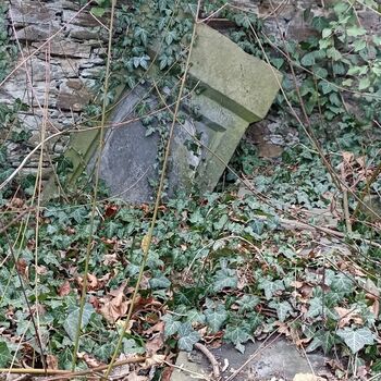 Friedhof 2022 Friedhof 2022