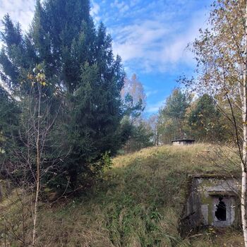 Warehouse of fuel oil