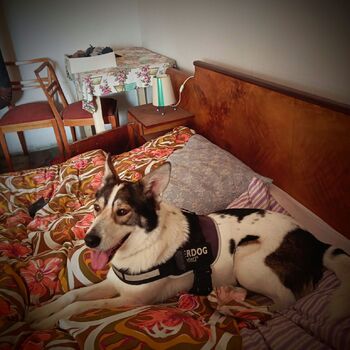 Tichý svědek tvrdého života