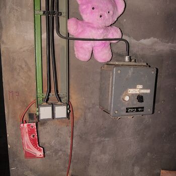 Versicherungsschutz unter dem Sitz der Autofirma Versicherungsschutz unter dem Sitz der Autofirma