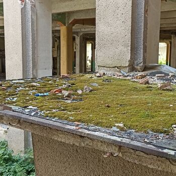 Spinning and weaving mill 2022