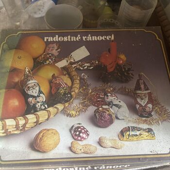 The photographer's house.