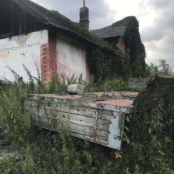 Cottage in the field