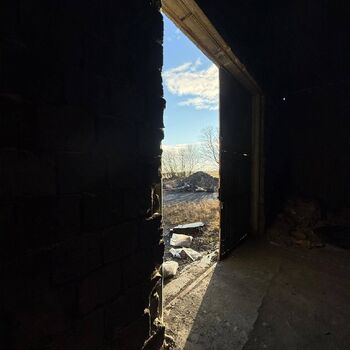 hory, DOLY, černý pes