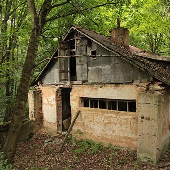 Mill from Snake river