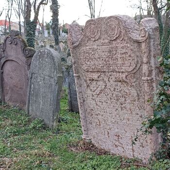 Jüdischer Friedhof 2024