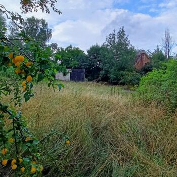 das Schloss, das jeder kennt...