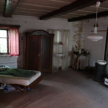 A grove in the borderlands.