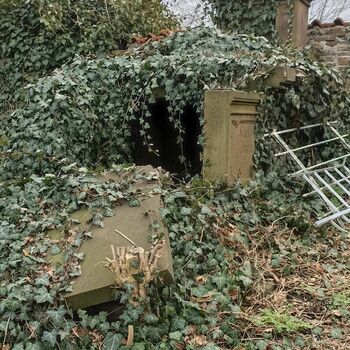 Friedhof 2022 Friedhof 2022