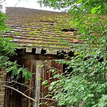 Spitzenschiff 9z10ti...