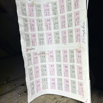 ᴀʙᴀɴᴅᴏɴᴇᴅ ꜱᴄʜᴏᴏʟ