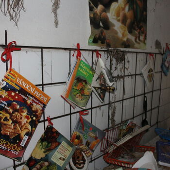 Wo ist der Graf geblieben? Das verlassene Schloss