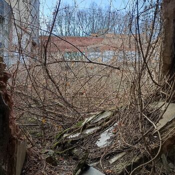 Lederfabrik und State Farm 2022