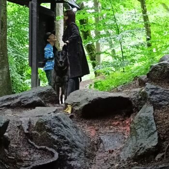 ruins of the blue house