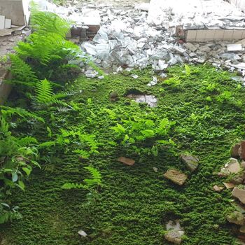 Urbex  -  2022  Sanatorium  SK