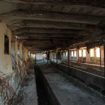 Landwirtschaftliche Fläche mit Hopfentrocknungsanlage 2023