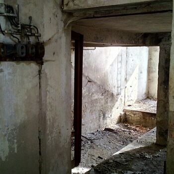 Buňka staré zeď Architektura budova