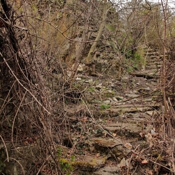 Barrandovské ohlédnutí