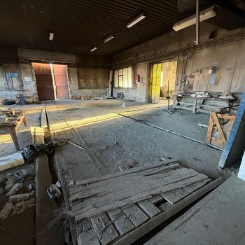 hory, DOLY, černý pes