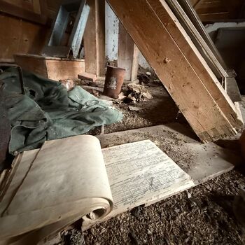 DDT, or the crocodile wasn't home