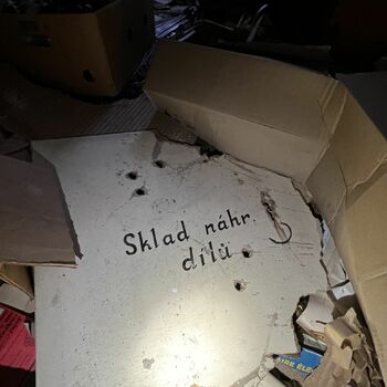 Lung sanatorium 2022