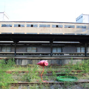 Freight station Žižkoff 🏢 Freight station Žižkoff 🏢