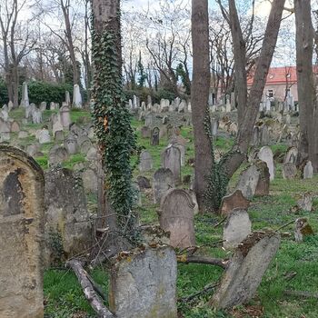 Jüdischer Friedhof 2024