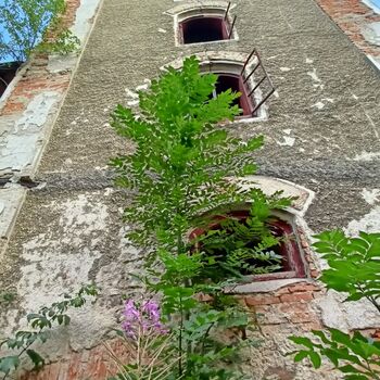 pivovar - koukni na video..