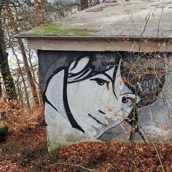 Wie immer sitzt er oben,