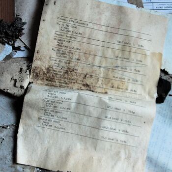 Schweinehüter Schweinehüter